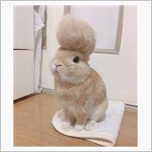 片田舎のカタカナ市で、ビッチ ...
