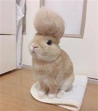 片田舎のカタカナ市で、ビッチっぽいJKを見掛けるとは…