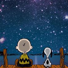 流れ星。 流れ星。