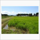 行っくぜ　東北♪