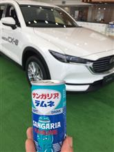 マツダ宇品様にもお邪魔しました(⌒▽⌒)