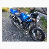 グース・シンドクなってきた