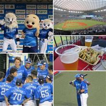 野球観戦（埼玉西武vs北海道日本ハム）