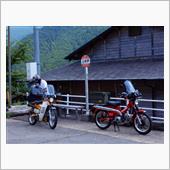 先日に走った黒滝村へ下る林道