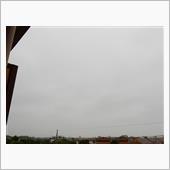 ８月９日　思った程雨が降って ...