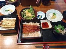 鰻百撰 ひろ田へうな重を食べに！