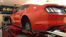 MUSTANG タイヤ交換 MUSTANG タイヤ交換