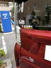 リアのステッカーを追加