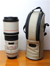 300mmを手放す 300mmを手放す