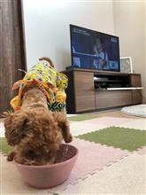 自分のステイタス