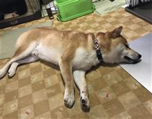 曇ってる 曇ってる
