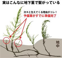 ガラコの効果チェック ガラコの効果チェック