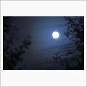 真夏の夜の…