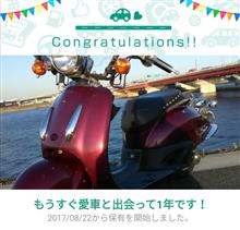 愛車と出会って1年！