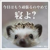 眠たいよぉ～･･･