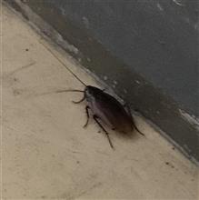 なんとなく撮ってみた なんとなく撮ってみた