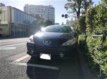 ２週連続でドロップインミートにお邪魔して来ました。