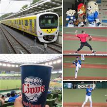 野球観戦（埼玉西武vs北海道日本ハム）
