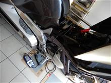 涼しくなったのでバイクも起動。
