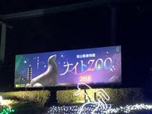 ナイトZOOに行って来ました ナイトZOOに行って来ました