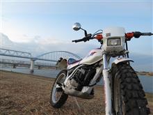 バイクで散歩したら ? 猫まみれになったよ ( *´艸`)ムフフ バイクで散歩したら ? 猫まみれになったよ ( *´艸`)ムフフ