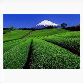 　お　　　茶