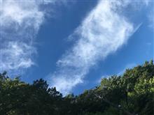 日差し避け。。 日差し避け。。