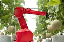 中国では　まだ家畜に頼った農業も多いのに　日本はもう　ロボット化に向けて　＝中国 