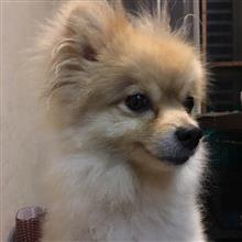 てんちはじめてさむし てんちはじめてさむし