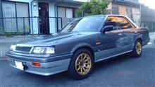 R31 ツルピカになりました