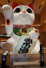 夏休み最後のお出かけ。 夏休み最後のお出かけ。