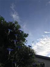 台風💨が近づいてます(&gt;_&lt;)