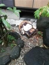 恐怖感を感じる台風でした！