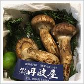 秋の味覚♪ 松茸 