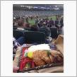 Bark at the Park