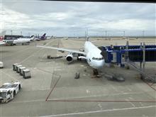 遅ればせながら香港旅行 遅ればせながら香港旅行