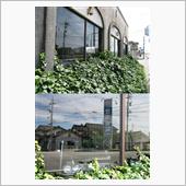 BIGA SHOP ブルーア ...