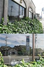BIGA SHOP ブルーアム 8
