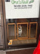 プラズマ電解餃子パーティー プラズマ電解餃子パーティー