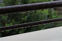 朝から雨 朝から雨