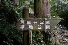 脱初心者を目指して! 脱初心者を目指して!