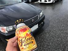 ももちゃんと楽しむ日！