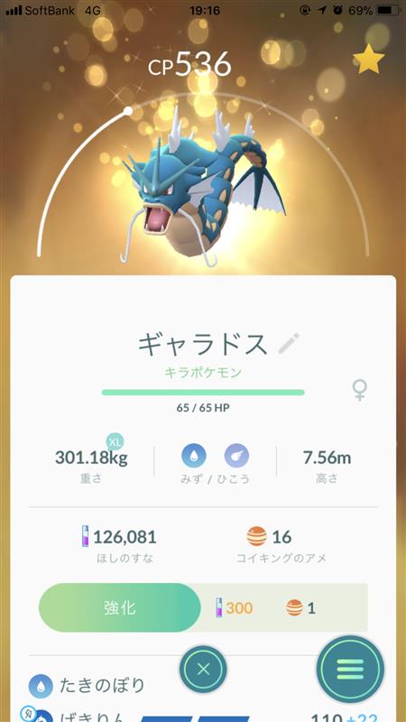 キラキラポケモン ギャラドス ポケモンgo タビトムのブログ 毎日更新するレヴォーグのブログ みんカラ