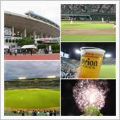 野球観戦（オリックスvs埼玉 ...