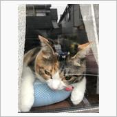 雨の日は