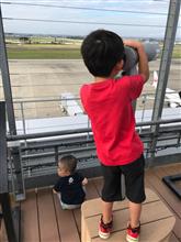 お昼寝ドライブ お昼寝ドライブ