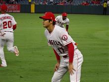 7回目 本場で大谷選手を見て来たよ