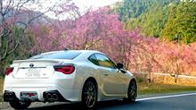 5年間ありがとうございます 5年間ありがとうございます