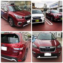 e-BOXER試乗車本日解禁なので乗ってきました。
