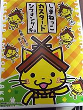 本州の、ほぼ端っこと端っこ